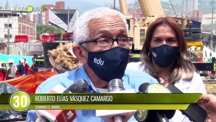 Qué bueno, no lo talaron Un árbol con más de 60 años de vida fue transplantado en Medellín