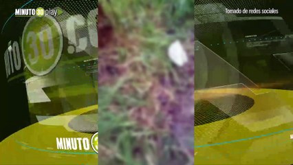 Causó repudio estudiante de 18 años fue violada y herida con arma blanca en Nueva Castilla Bogotá