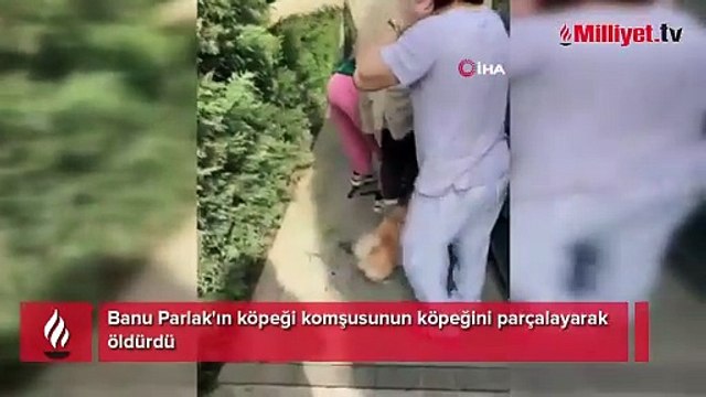 Banu Parlak'ın köpeği komşusunun köpeğini parçalayarak öldürdü