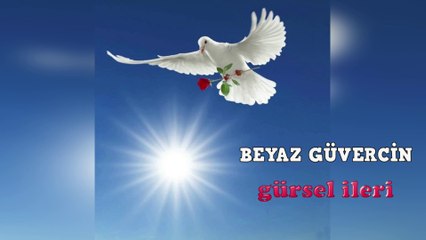 Gürsel İleri - Beyaz Güvercin