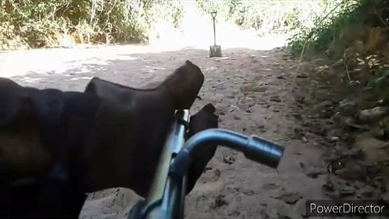 teste da 36 caseira