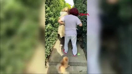 Beylikdüzü'nde Banu Parlak'ın köpeği saldırdığı komşusunun köpeğini öldürdü