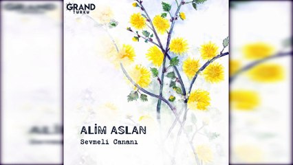 Alim Aslan - Sevmeli Cananı