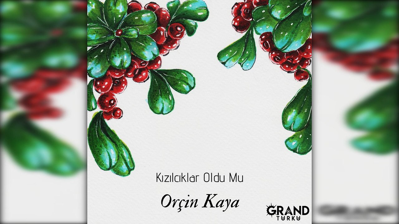 Orçin Kaya - Kızılcıklar Oldu Mu