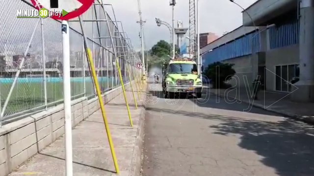 evacuación en zona del estadio por enjambre de abejas