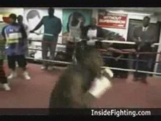 Boxing Floyd Mayweather Jr. Training