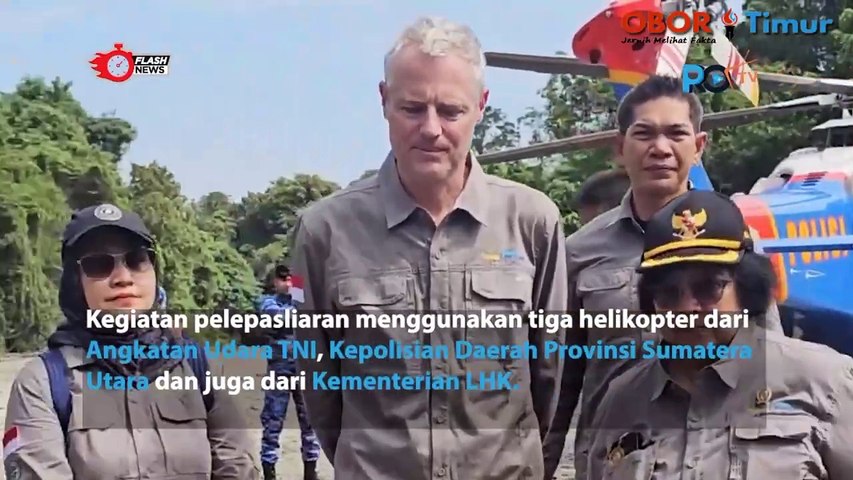 Pelepasan Harimau Sumatera