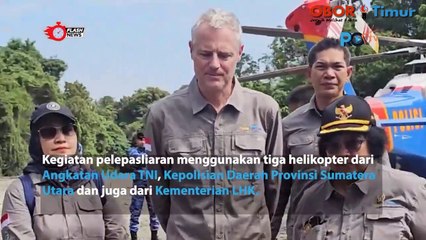 Pelepasan Harimau Sumatera