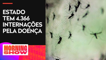 Rio de Janeiro registra 62 mortes por dengue em 2024