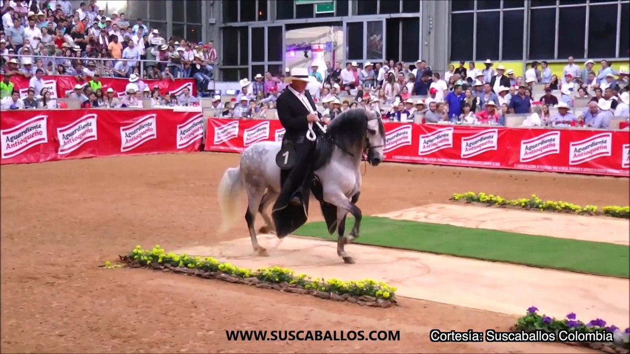 18-07-17 feria equina