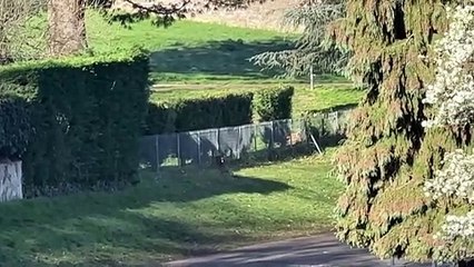 Des trafiquants aux portes d'une cours d'école à Firminy