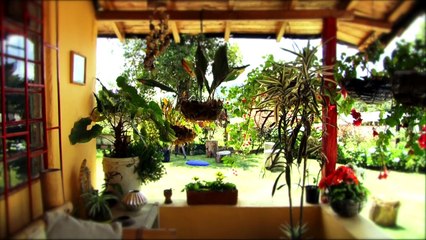 04-08-07-asi-inician-la-elaboracion-de-las-silletas-en-santa-helena