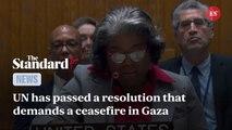 Gaza: UN Security Council passes resolution calling for ceasefire