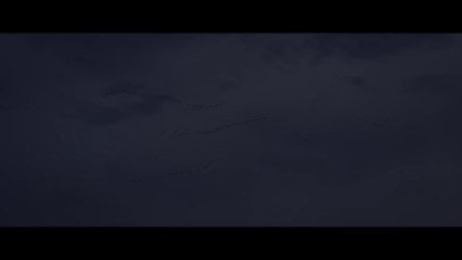 HANDLING THE UNDEAD  (2024) Thriller Movie