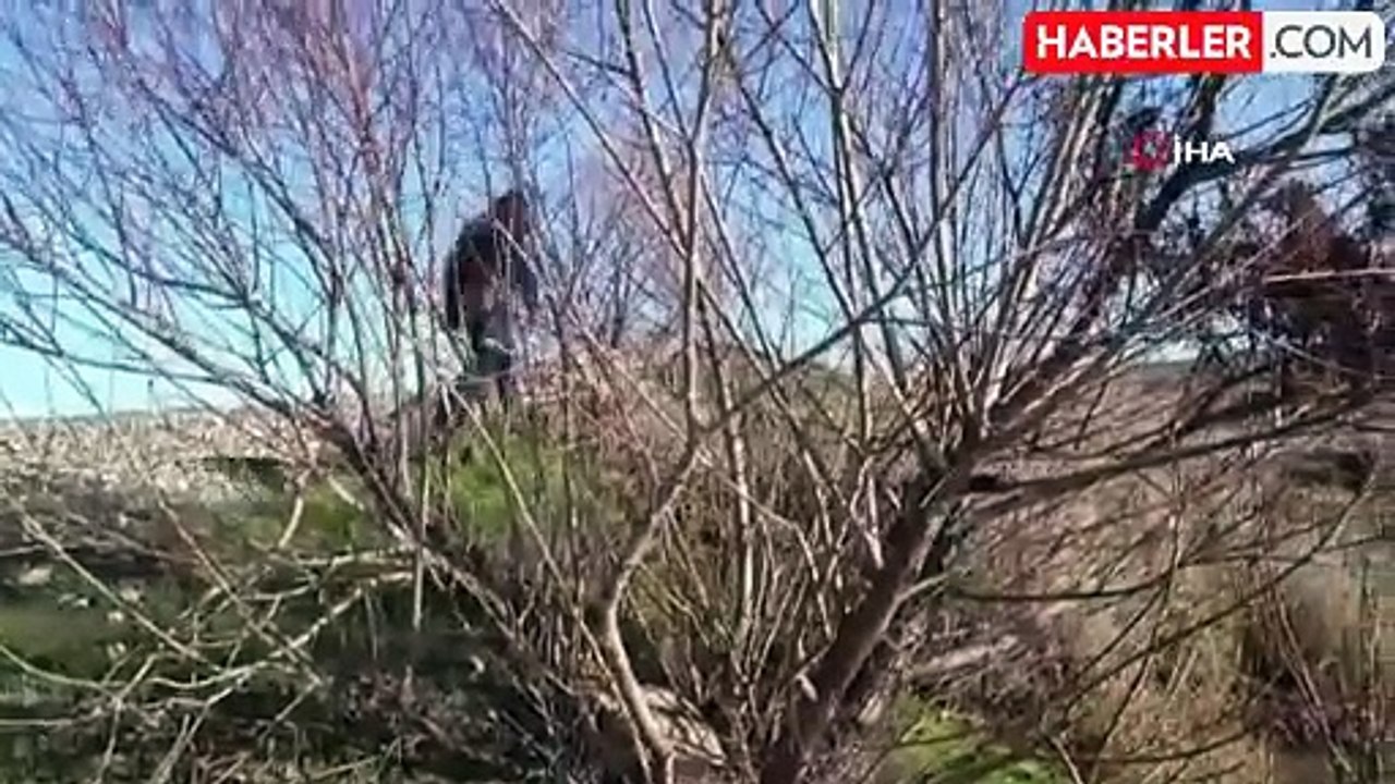 Akraba ziyareti için evden çıktı, 6 gündür haber alınamıyor