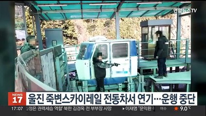 울진 죽변 스카이레일 전동차서 연기…안전점검·운행중단