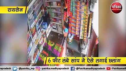 कोबरा ने दुकानदार पर लगाई छलांग