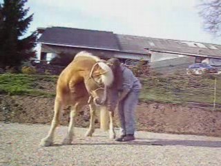 Montage avec marche en croisant