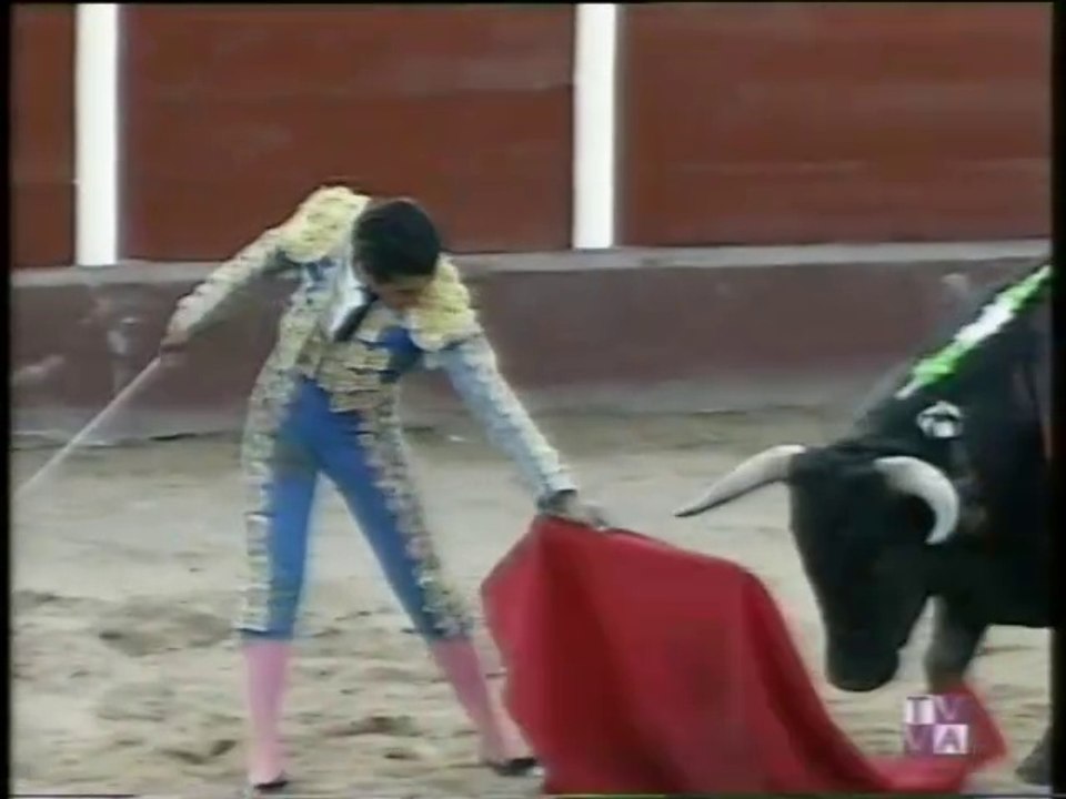 TARDE DE TOROS - JORGE MANRIQUE - DAVID LUGUILLANO - MANOLO SANCHEZ - FRESNO EL VIEJO - 13 JUNIO 1997