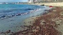 Tekirdağ'da sahil şeridi kızıla büründü