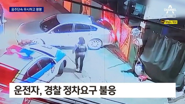 순찰차 들이받고 도주한 음주운전 30대 체포