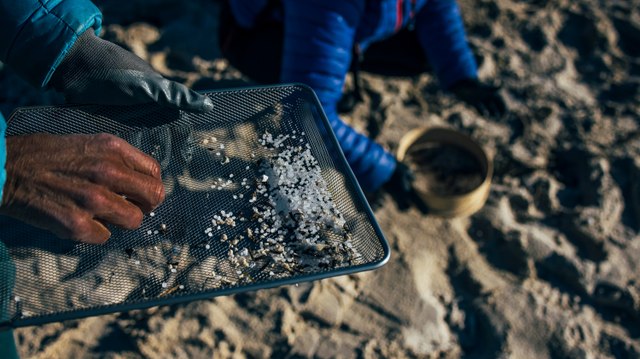 Cientos de voluntarios trabajan con coladores y rejillas improvisadas para retirar los ‘pellets’