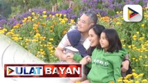 Northern Blossom Flower Farm sa Atok, Benguet, dinarayo ng mga turista