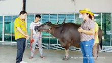 แม่ซัมซุงลูกเพชรอุดรวงเขาสวยงาม พี่อุสมาลย์ ปาทานฟาร์ม EP4 เต๋อพาเที่ยว