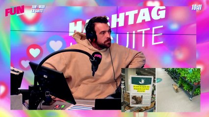 La suite - L'intégrale du 08 janvier