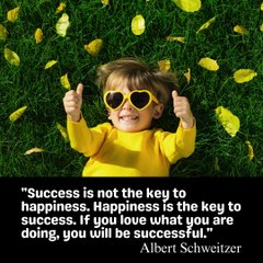 Success is not the key to happiness