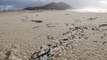 La crisis ambiental de los pellets de plástico, el nuevo Prestige que entra en la campaña gallega