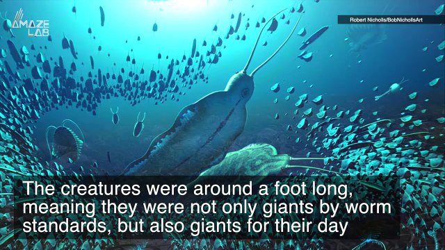 This ‘Terror Beast’ Was a Giant Worm That Ruled the Oceans Before Sharks