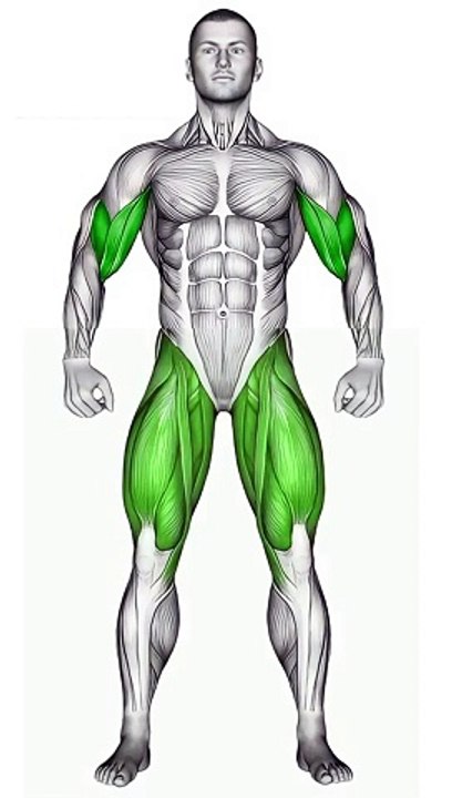 Leg & Biceps Workout #legexercises #bicepsworkout #bodybuilding #fitness  #shorts #shortvideo #legs