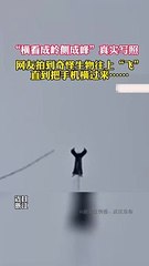 UFO出現了！？看看這是什麼？Mysterious black #UFO are flying in space. What is this?