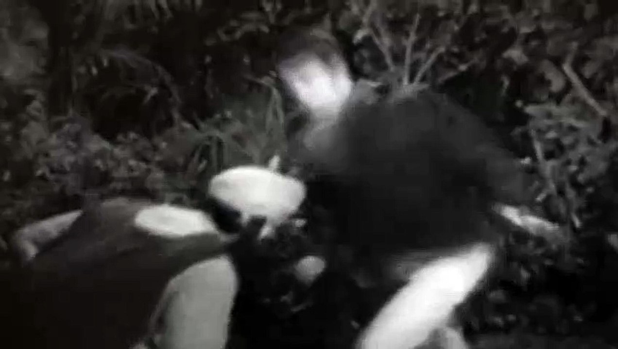 Doctor Who S02E22 The Crusade Pt 1 The Lion