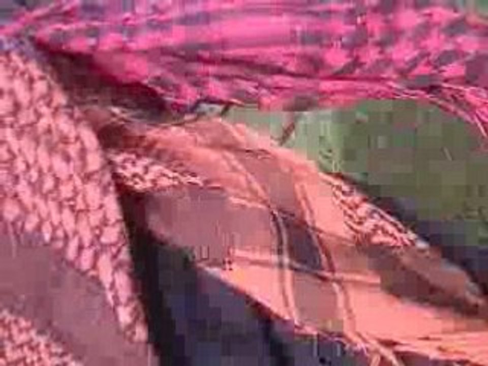 Poiisson D'avril XVI