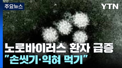 '겨울철 불청객' 노로바이러스 환자 급증..."손씻기·익혀 먹기" / YTN