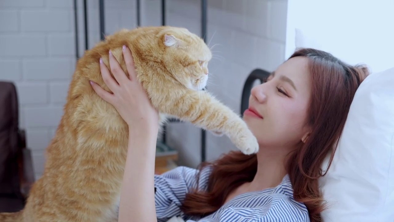 the kitten playing  with her owner that,s whay she was so happy  #funnycats #funnydogs #funnyanimals #funnycats #funnydogs #funnyanimals