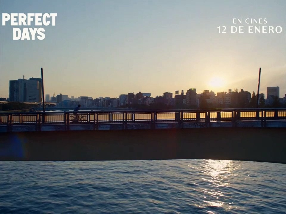 Perfect Days - Spot