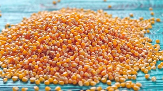 L'ONU affirme que les prix ont chuté pour plusieurs produits alimentaires en 2023