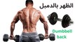 Back exercises with dumbbells at home and in the gym