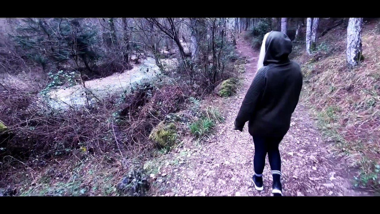 RAMMSTEIN - ZEIT   cover by Polina Poliakova