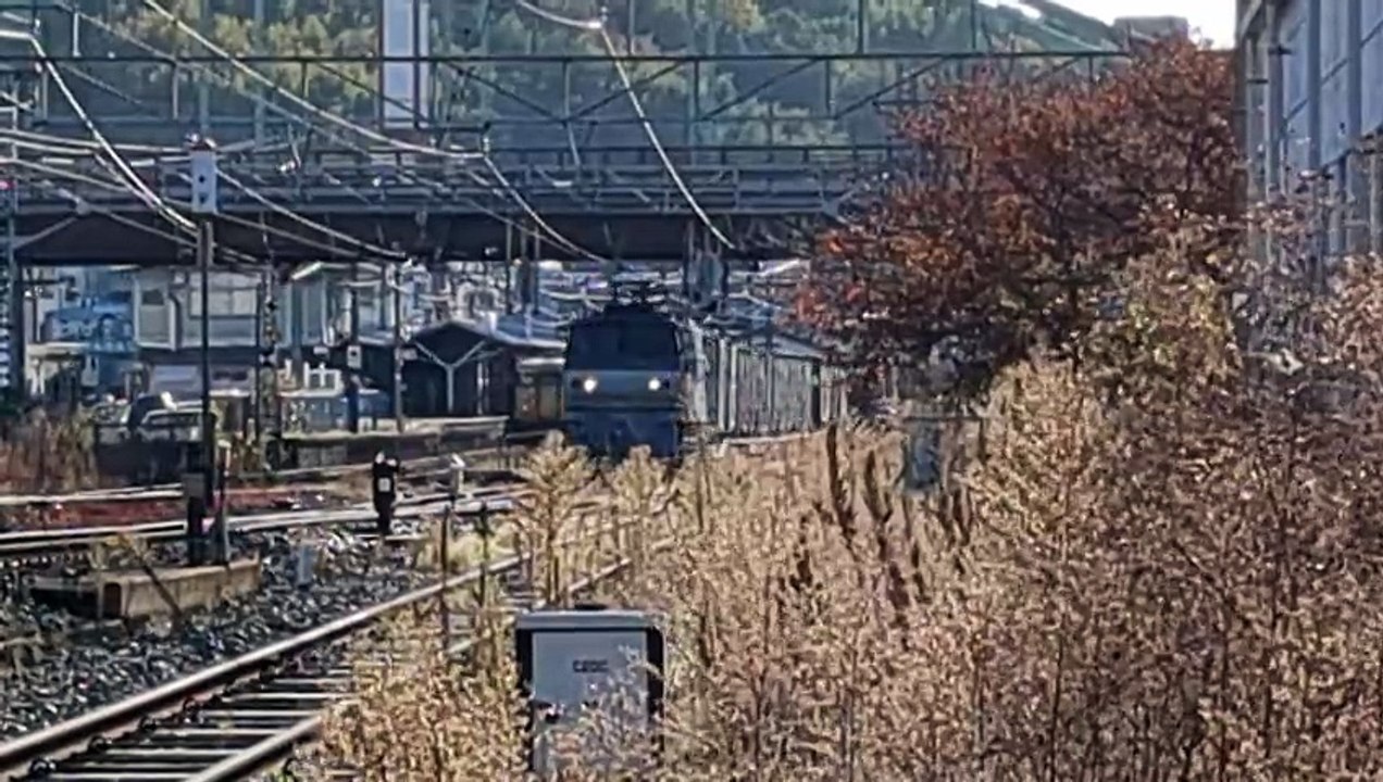 PXL_20231114_084525 67列車・67レ  Train 67, 67 re.