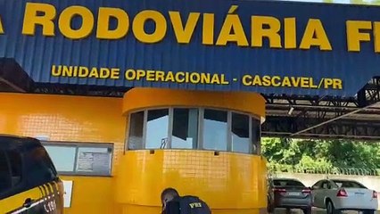 Video herunterladen: PRF de Cascavel apreende mala carregada com maconha capulho na BR-277