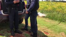 Primeiro homicídio de 2024 em Cascavel: homem é morto a tiros no Sanga Funda