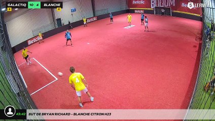 But de Bryan Richard - Blanche Citron H23