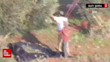 Yahudi yerleşimciler Filistinlilere ait zeytinleri çaldı