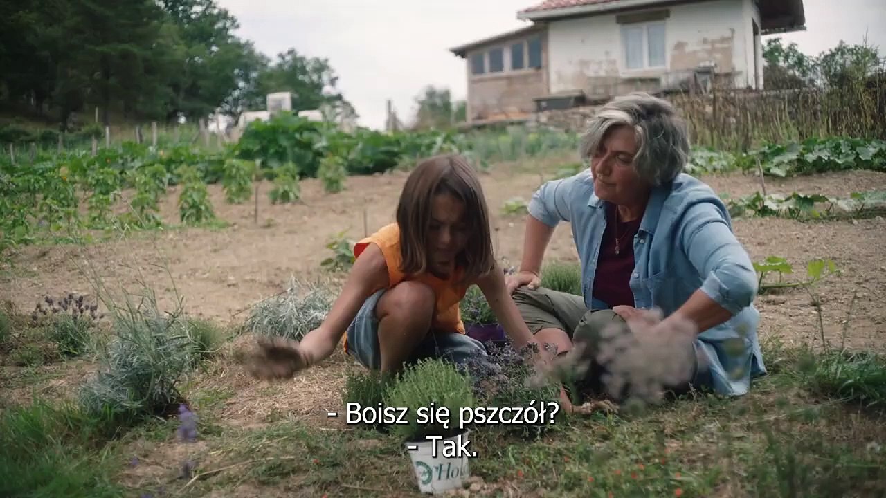 20 000 espèces d'abeilles Bande-annonce (PL)