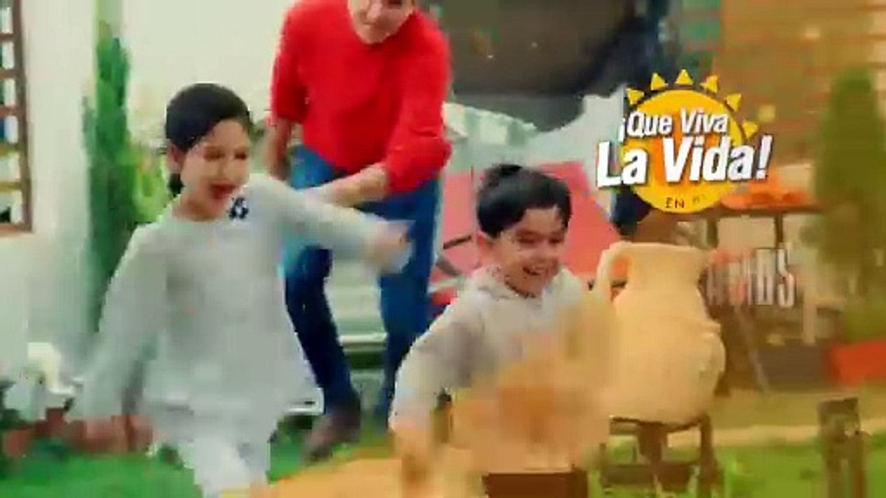 Transmisión en Vivo (3131)