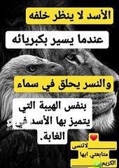 الأسد لا ينظر خلفه والنسر يحلق في السماء #نجاح #نحو_نجاح #تحفيز